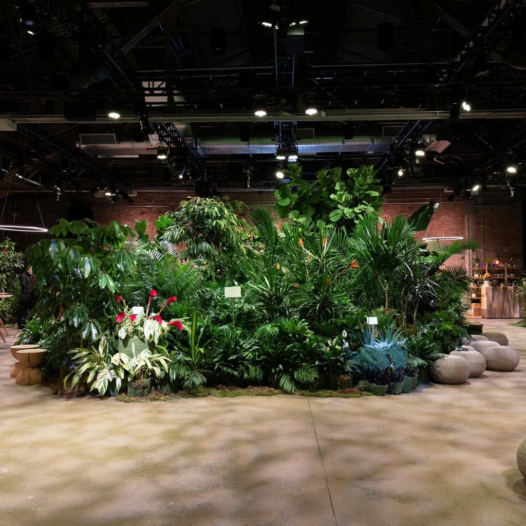 The botanical oasis in the middle of the room